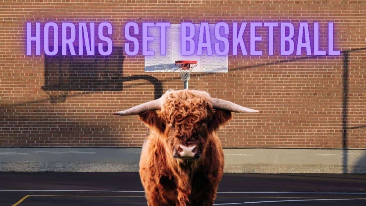 horns set basketball - feature image
